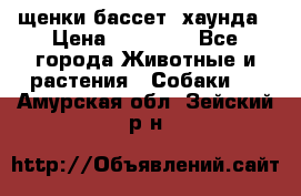 щенки бассет- хаунда › Цена ­ 20 000 - Все города Животные и растения » Собаки   . Амурская обл.,Зейский р-н